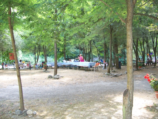  Image name: Estate03.jpg 
 width: 601 pixel 
 height: 452 pixel 
 Size: 308904 bytes 
 Click to enlarge 